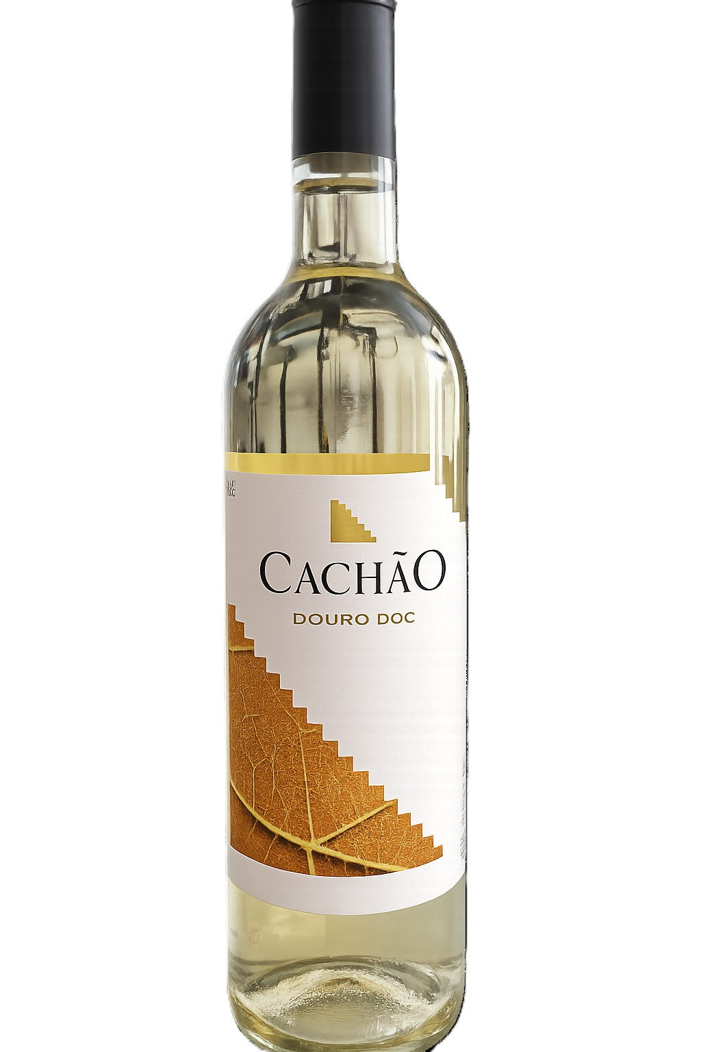 cachão 2024